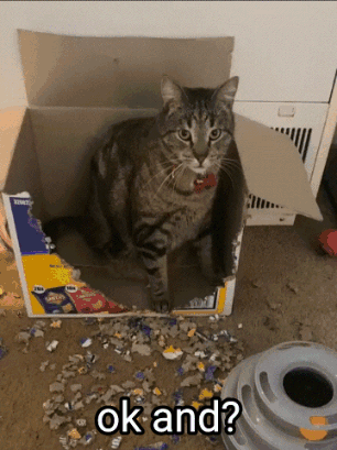 A Cat Sitting In A Cardboard Box With The Words Ok And Written Below It GIF