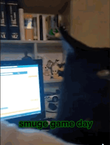 A Cat Sitting In Front Of A Computer With The Words Smuge Game Day Written On The Screen GIF