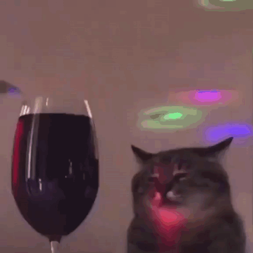 A Cat Sitting In Front Of A Glass Of Wine . GIF