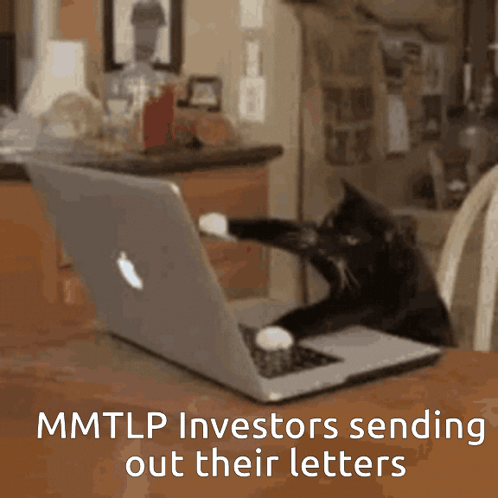 A Cat Sitting In Front Of A Laptop With The Words Mmtlp Investors Sending Out Their Letters Below It GIF