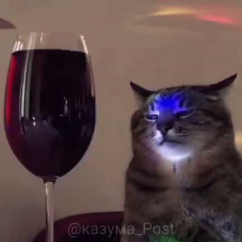 A Cat Sitting Next To A Glass Of Wine GIF