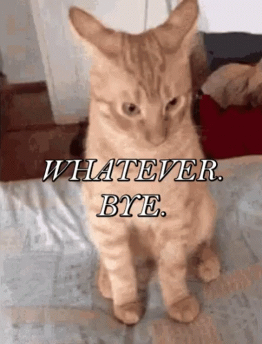 A Cat Sitting On A Bed With The Words " Whatever Bye " Written On It GIF