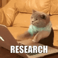 A Cat Sitting On A Couch Using A Laptop With The Word Research Written On The Screen GIF