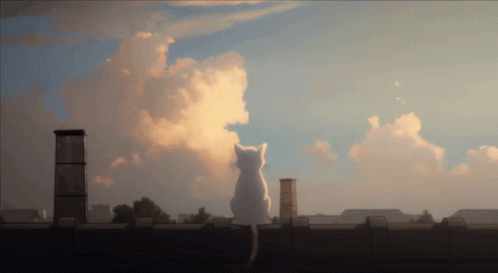 A Cat Sitting On A Roof Looking At The Sky GIF