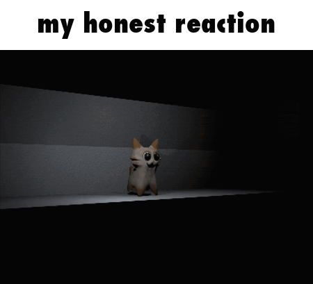 A Cat Sitting On A Shelf With The Words " My Honest Reaction " Below It GIF