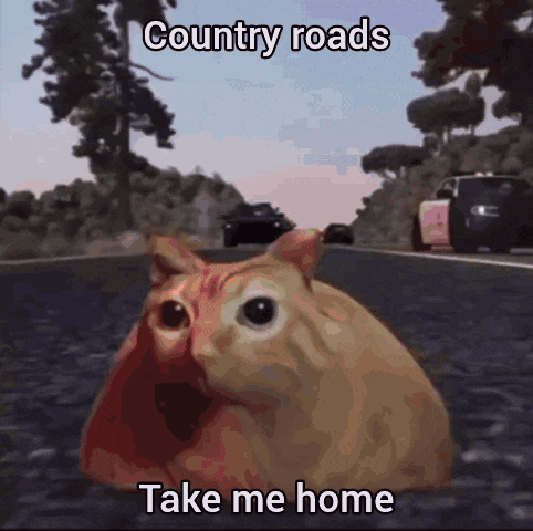 A Cat Sitting On The Side Of A Road With The Words Country Roads Take Me Home GIF