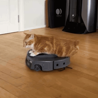 A Cat Sitting On Top Of A Vacuum Cleaner GIF