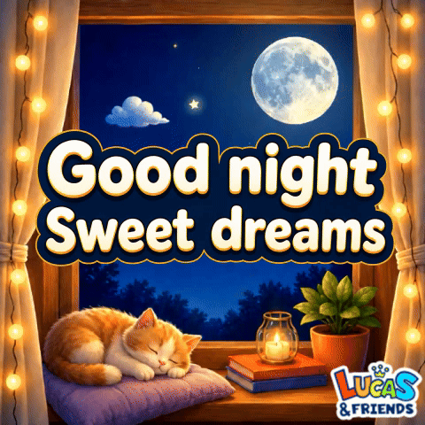 A Cat Sleeping On A Pillow In Front Of A Window With The Words Good Night Sweet Dreams Above It GIF