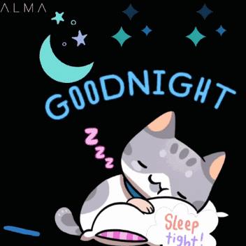 A Cat Sleeping On A Pillow With The Words Goodnight And Bedtime Written Below It GIF