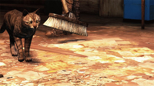 A Cat Standing Next To A Person Holding A Broom On A Messy Floor GIF