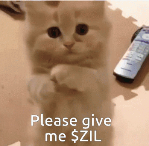 A Cat Standing On Its Hind Legs Next To A Remote Control That Says Please Give Me Zil GIF