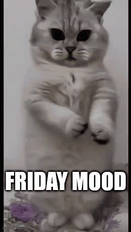 A Cat Standing On Its Hind Legs With The Words `` Friday Mood '' Written On It . GIF