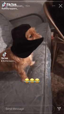 A Cat Wearing A Black Balaclava On A Bed GIF