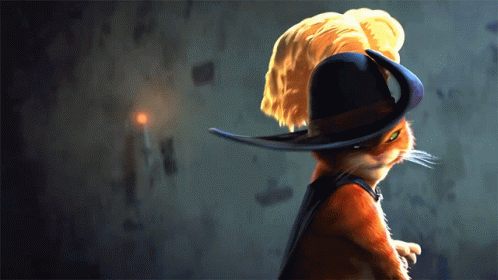 A Cat Wearing A Black Hat With A Yellow Feather On It GIF