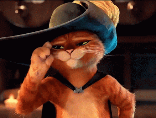 A Cat Wearing A Blue Hat And A Necklace With A Cat On It 'S Neck GIF