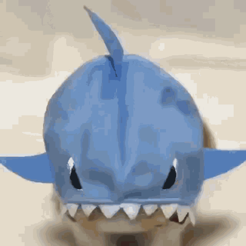 A Cat Wearing A Blue Shark Costume With Sharp Teeth GIF