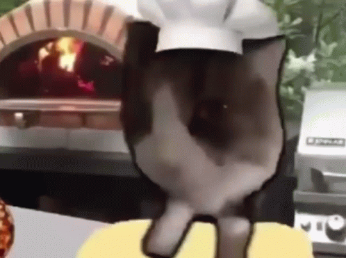 A Cat Wearing A Chef 'S Hat And Apron Is Standing In Front Of An Oven . GIF