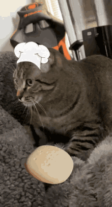 A Cat Wearing A Chef 'S Hat Is Holding An Egg GIF