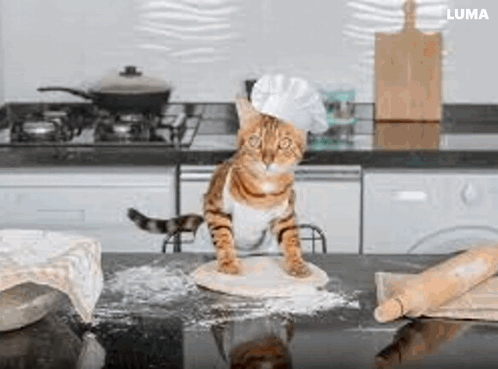 A Cat Wearing A Chef 'S Hat Is Standing On A Piece Of Dough On A Kitchen Counter . GIF