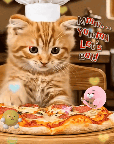 A Cat Wearing A Chef 'S Hat Looks At A Pizza GIF