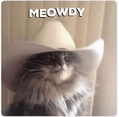 A Cat Wearing A Cowboy Hat With The Word Meowdy Written Above It GIF