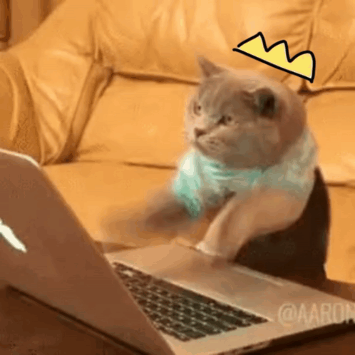 A Cat Wearing A Crown Is Using A Laptop Computer GIF