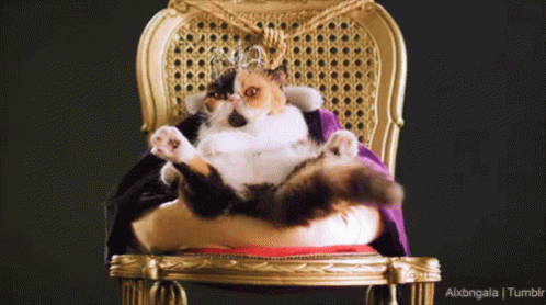 A Cat Wearing A Crown Sits On A Throne GIF
