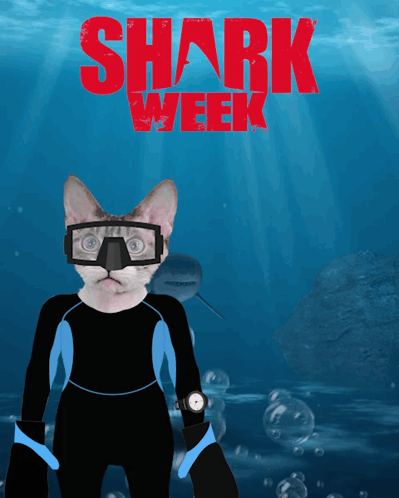 A Cat Wearing A Diving Suit And Goggles With The Words Shark Week Written Above It GIF