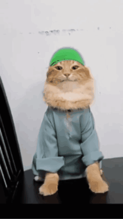 A Cat Wearing A Green Hat And A Blue Shirt Sits On A Chair GIF