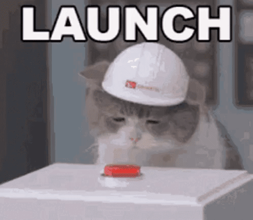 A Cat Wearing A Hard Hat Is Pressing A Button And The Word Launch Is Above It . GIF