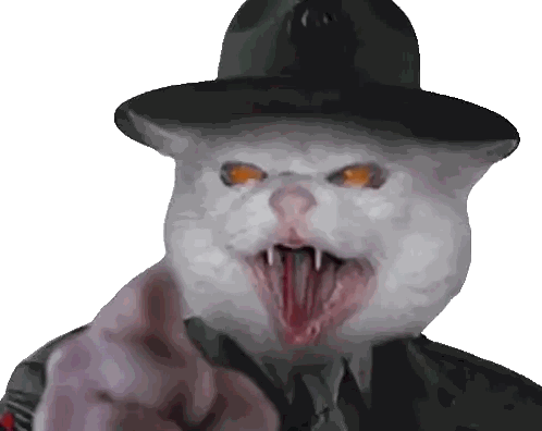 a cat wearing a hat and military uniform is pointing