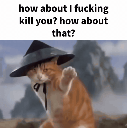 A Cat Wearing A Hat Is Asking How About I Fucking Kill You How About That GIF