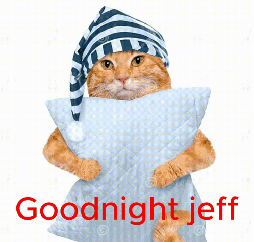 A Cat Wearing A Hat Is Holding A Pillow With The Words Goodnight Jeff Written On It GIF
