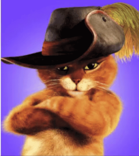 A Cat Wearing A Hat With A Feather On The Top GIF