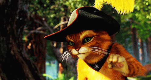 A Cat Wearing A Hat With A Yellow Feather On The Top GIF