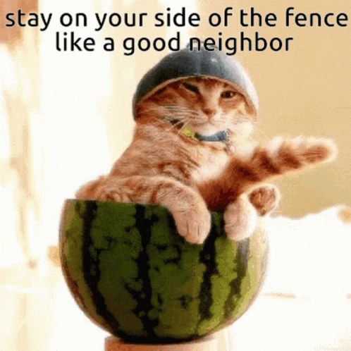 A Cat Wearing A Helmet Is Sitting In A Watermelon With The Caption Stay On Your Side Of The Fence Like A Good Neighbor GIF
