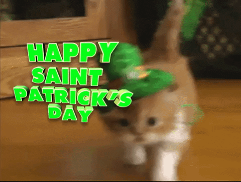 A Cat Wearing A Leprechaun Hat And Sunglasses Says Happy Saint Patricks Day GIF