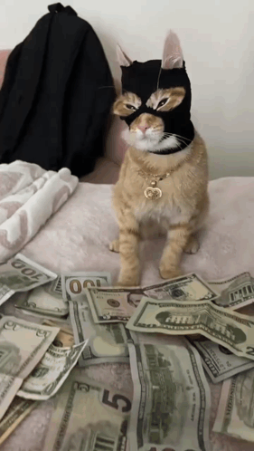 A Cat Wearing A Mask Is Sitting On A Bed With A Pile Of Money GIF