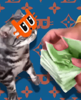 A Cat Wearing A Mask That Says " Aa " On It GIF