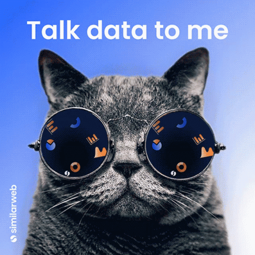 A Cat Wearing A Pair Of Glasses With The Words Talk Data To Me Above It GIF
