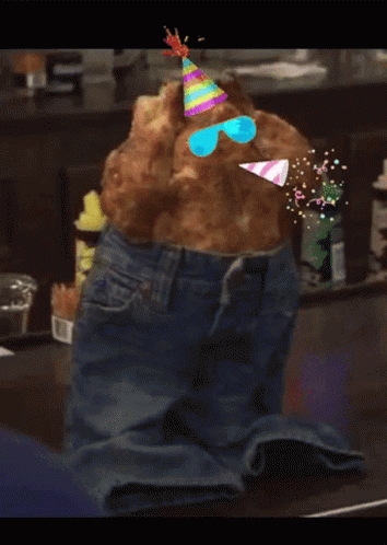 A Cat Wearing A Party Hat And Sunglasses Is Sitting On A Pair Of Jeans GIF