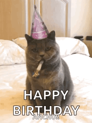A Cat Wearing A Party Hat Is Sitting On A Bed GIF