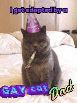 A Cat Wearing A Party Hat Is Sitting On A Bed Next To A Sign That Says Gay Cat Dad GIF