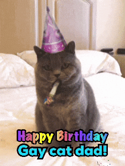 A Cat Wearing A Party Hat Is Sitting On A Bed With The Words Happy Birthday Gay Cat Dad GIF