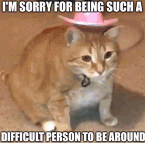 a cat wearing a pink cowboy hat is sitting on the ground .