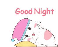 a cat wearing a pink hat is laying on a pillow with the words good night written above it