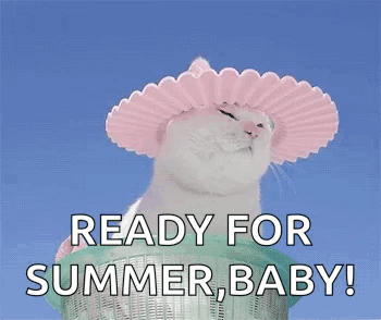 A Cat Wearing A Pink Hat Is Sitting On Top Of A Basket . GIF