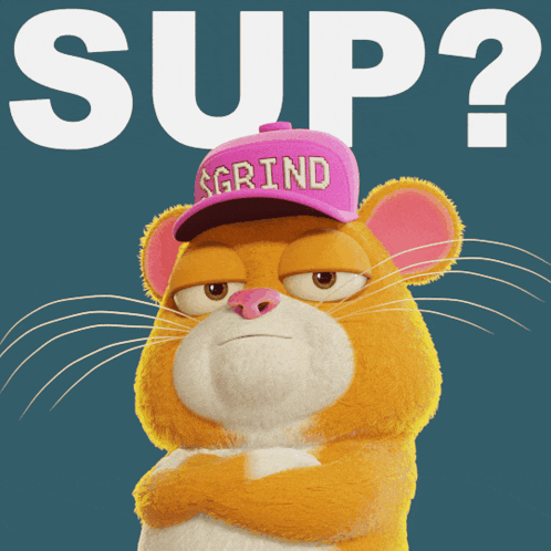 A Cat Wearing A Pink Hat That Says Grind On It GIF