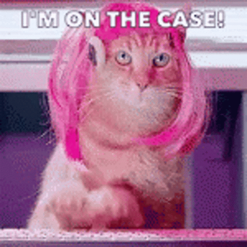 A Cat Wearing A Pink Wig And A Pink Hat Is Sitting On A Shelf . GIF