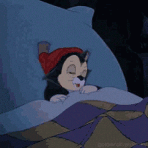 A Cat Wearing A Red Hat Is Sleeping In A Bed . GIF